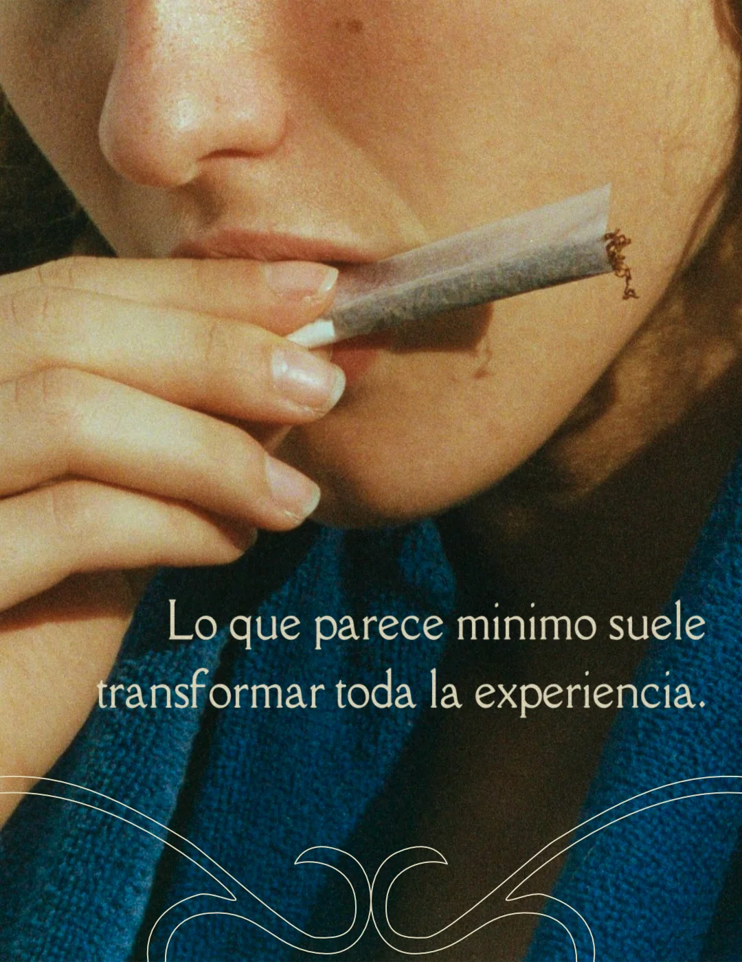 Indumentaria SECA — ropa y prendas